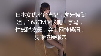 广州小姐姐第四法