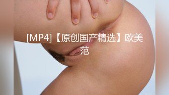 MD-0336爆乳候选人政见发表会