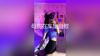 母狗在车里自慰