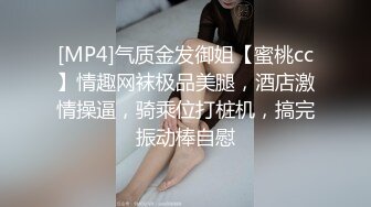 九头身【170cm顶级美腿女神】大尺度自慰，跳蛋女用倒模骑坐，从下往上视角棒球棍抽插，黑色网袜长腿高跟鞋