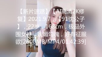 太完美了 满足幻想 AI绘画 付费打包 S级画师PixivID9171005 普通+FANBOX[213P/798M]