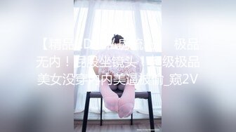 【精品CD】私房流出❤️极品无内！屁股坐镜头！超级极品美女没穿内内美逼被偷_窥2V