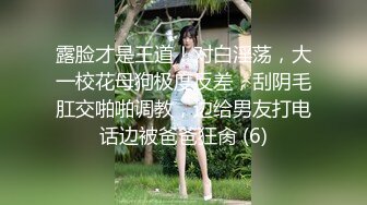 气质房东少妇阿姨穿著旗袍给洋小伙吃屌在摇摇椅上做爱