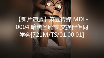 【新片速遞】麻豆传媒 MDL-0004 暗黑圣诞节 交换伴侣同学会[721M/TS/01:00:01]