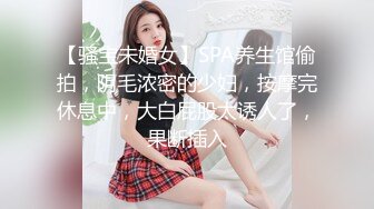 做工程的美女老板