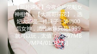 猫爪传媒 MMZ-060《装修工的报复》艳丽女神-赵一曼