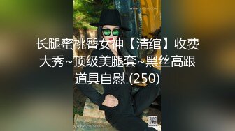 【11月订阅福利】究极绿帽骚妻【性感的猫】OF福利④，Sexcat係我阿妹 猫公任务：醉后陌生人 (2)