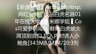 [MP4]麻豆传媒-100公分大长腿的激情玩弄 超模新人叶凡舒初登