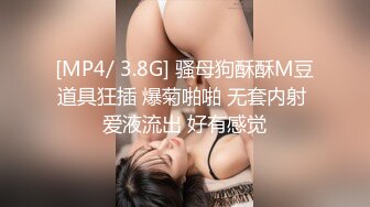 只屬於我的變態女友 2