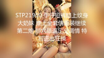 【超美颜值美艳女神】秀人网极品嫩模『芝芝』最新自购淫乱三部曲 爆裂黑丝勾引摄影师喷血 (3)