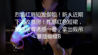 颜值不错的风骚女模特，大辫子漏出骚奶子诱惑狼友跟两位大哥激情3P