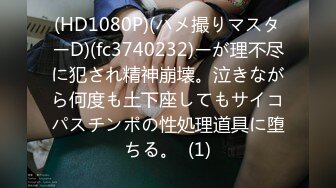 [无码破解]SSIS-578 相部屋NTR 絶倫上司と新入社員が朝から晩まで、不倫セックスに明け暮れた出張先の夜 東雲みれい