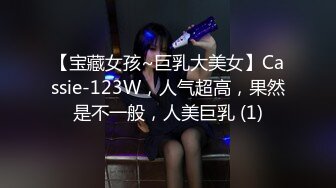 [MP4]精东影业 JD060 操了兄弟漂亮的老婆 好玩不過嫂子 水中情 竟享魚水之歡