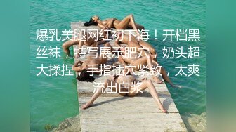 福利精品 OnlyFans網紅Ms.PuiYi 巨乳騷少婦自拍視圖合集[158P+13V/534M]