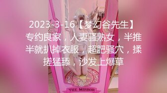 [MP4/908MB]3-29鑫仔探花约啪白皙微胖女神，大屁股后入女上位超级爽