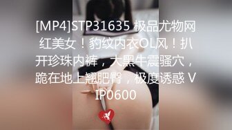 [MP4]麻豆传媒最新出品MD0172傲娇女同学强迫嚣张女室友激情做爱-管明美