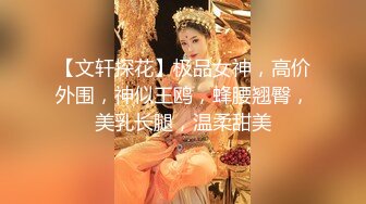 【文轩探花】极品女神，高价外围，神似王鸥，蜂腰翘臀，美乳长腿，温柔甜美