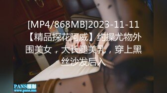 [MP4/868MB]2023-11-11【精品探花阿威】约操尤物外围美女，大长腿美乳，穿上黑丝沙发后入