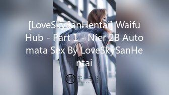 [LoveSkySanHentai] WaifuHub - Part 1 - Nier 2B Automata Sex By LoveSkySanHentai