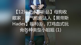 【12月无水印新品】母狗收藏家，痞气约炮达人【黑帝斯Hades】福利⑥，打鸡血式玩肏各种类型小姐姐 (1)