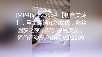 [MP4]STP25534 【初音美玲】，重金邀请知名女优，粉丝圆梦之夜，22岁极品美女，搔首弄姿配合听话 VIP2209