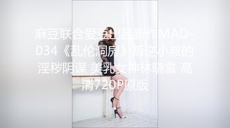 押尾猫2019性爱欲望系列-性感黑丝女仆厨房诱惑主人