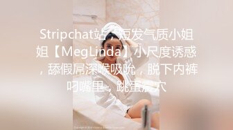 [MP4/ 223M]&nbsp;&nbsp;秀人网 王馨瑶叛逆女高中生勾引哥哥，做爱交新