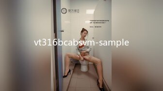 vt316bcabsvm-sample