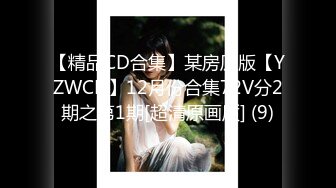 【精品CD合集】某房原版【YZWCD】12月份合集72V分2期之第1期[超清原画质] (9)