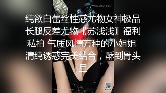 onlyfans超人气女神娜娜nana_taipei-吊带黑丝-房产经纪人的情趣内衣