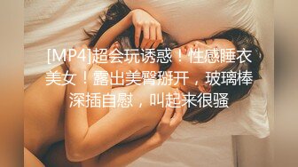 同事的超级肥臀