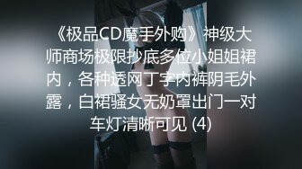 《极品CD魔手外购》神级大师商场极限抄底多位小姐姐裙内，各种透网丁字内裤阴毛外露，白裙骚女无奶罩出门一对车灯清晰可见 (4)