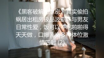 BRAZZERS公司DIRTYMASSEUR系列,(59)