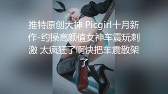 推特原创大神 Picgirl十月新作-约操高颜值女神车震玩刺激 太疯狂了啊快把车震散架了