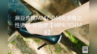 麻豆传媒MMZ-044女房客之性诱惑-林怡梦【MP4/304MB】