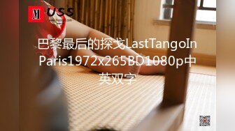 巴黎最后的探戈LastTangoInParis1972x265BD1080p中英双字