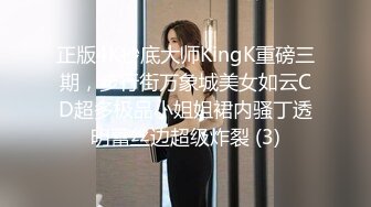 正版4K抄底大师KingK重磅三期，步行街万象城美女如云CD超多极品小姐姐裙内骚丁透明蕾丝边超级炸裂 (3)