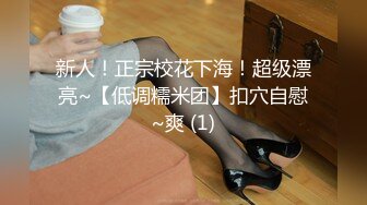 《最新✿重磅精品》超顶大尺度！假面舞团美鲍美乳招牌女神【宁宁】超会版~赤裸裸露奶露逼摇摆挑逗~阴毛超性感~撸点很高