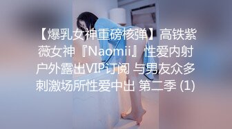 【爆乳女神重磅核弹】高铁紫薇女神『Naomii』性爱内射户外露出VIP订阅 与男友众多刺激场所性爱中出 第二季 (1)